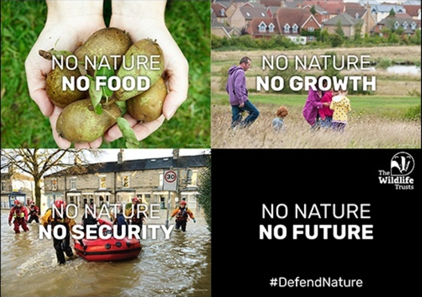 An image split four ways, with pears in the hands of someone top left, with text No Nature No Food overlaid, top right has a family walking through a field and text reads No Nature No Growth, bottom left is a rescue team with a boat in a flooded town centre and reads No Nature No Security and bottom right is a black space that reads No Nature No Future #DefendNature